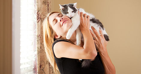 ¿Conocés los beneficios de vivir con un gato?